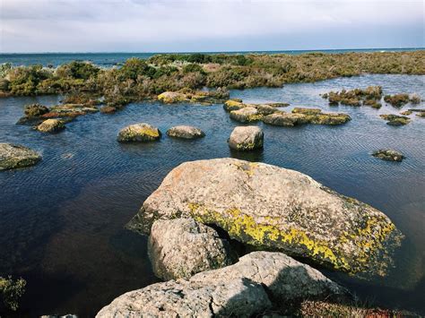 THE 15 BEST Things to Do in Hobsons Bay .